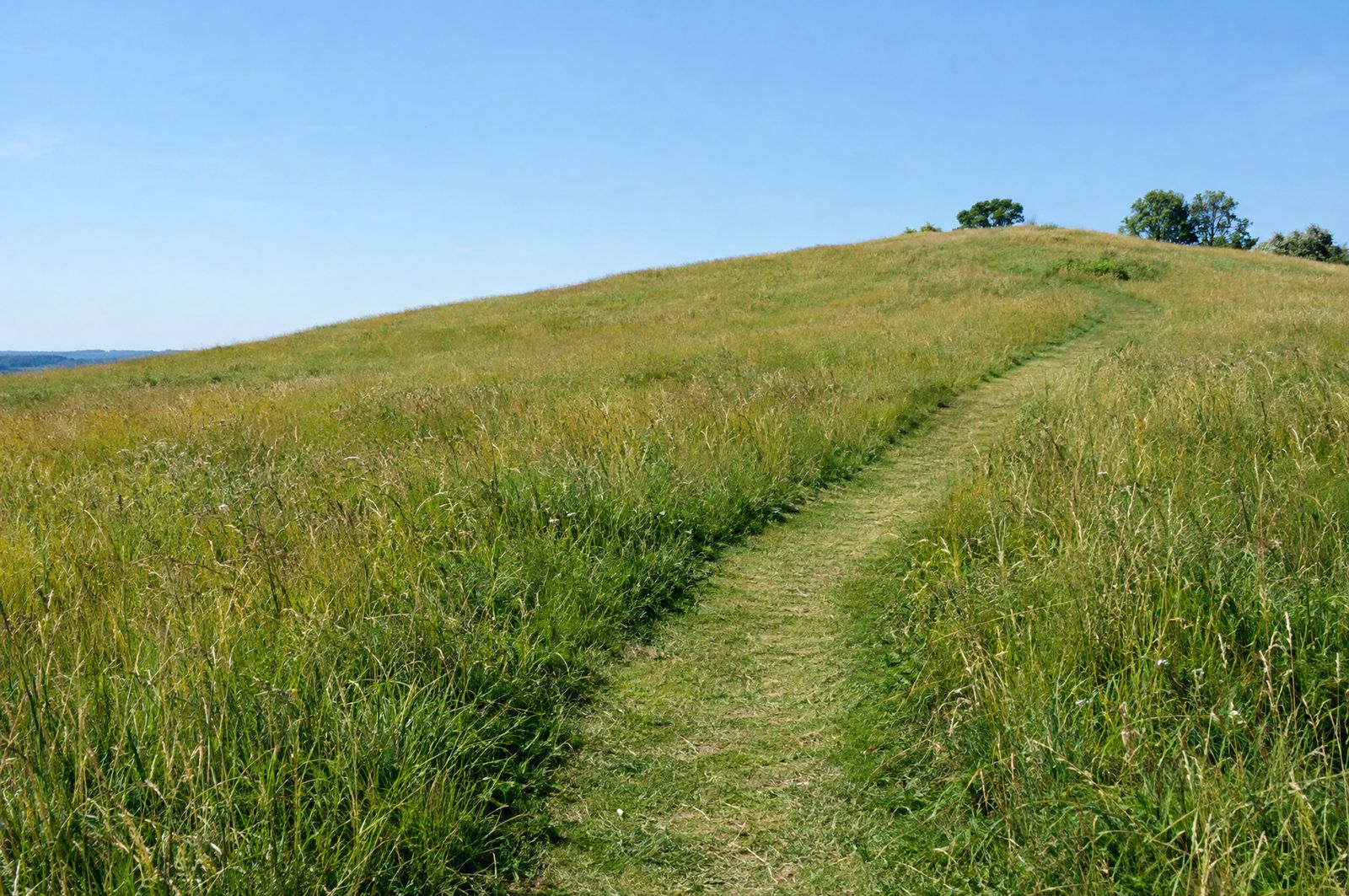 A mown path curving up a slope of green and gold grass toward a rounded crest under a clear sky